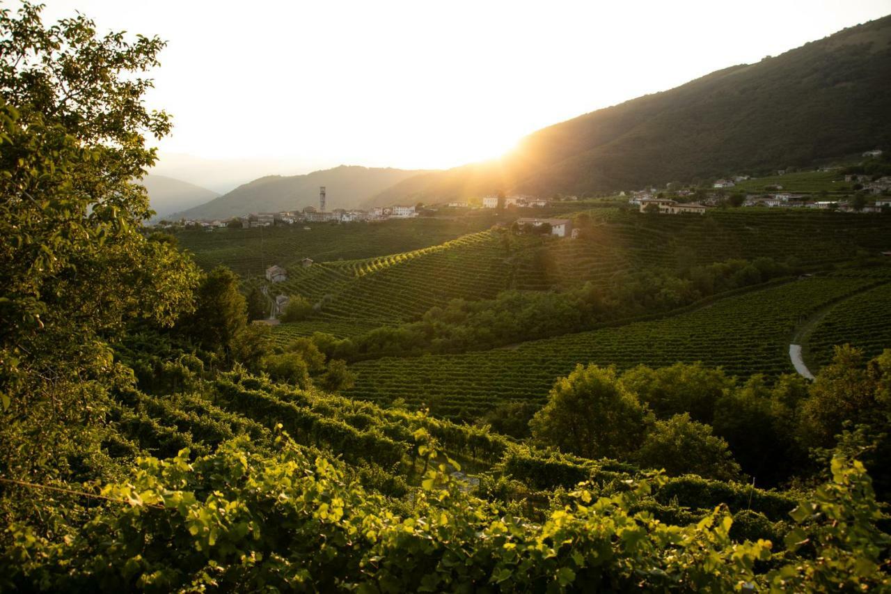 Oasi di pace nel sito UNESCO del Prosecco DOCG Farra di Soligo Esterno foto